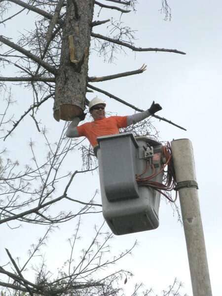 Stump Removal — Man in Bucket Truck Holding a Cut Tree in Mansfield, OH