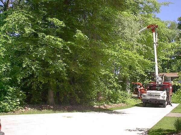 Site Prep — Crane Truck at the Side of the Tree in Mansfield, OH