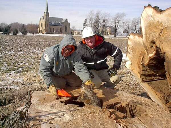 Stump Removal — Two Person on Stump in Mansfield, OH