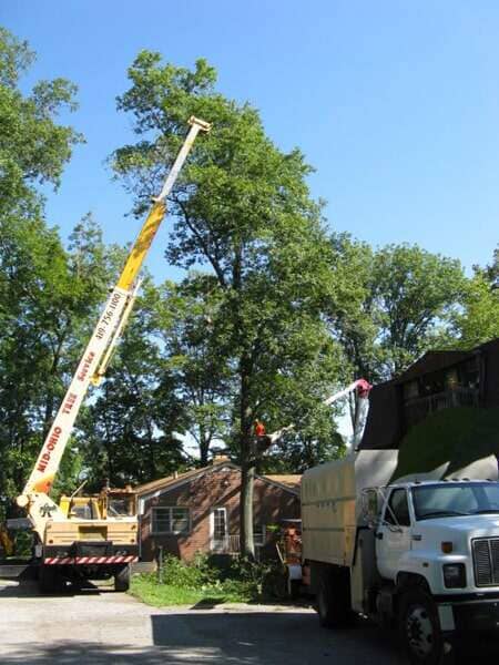 Lot Clearing — Crane Truck and White Truck in Mansfield, OH