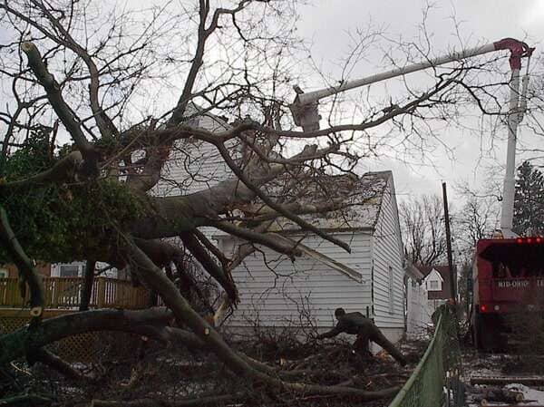 Tree Trimming — Tree Fall to the House in Mansfield, OH