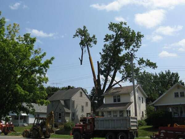 Land Clearing — Truck on the Road in Mansfield, OH