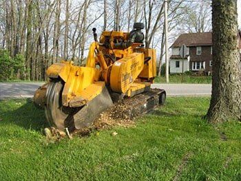 Stump Removal — Stump Grinding Machine in Mansfield, OH