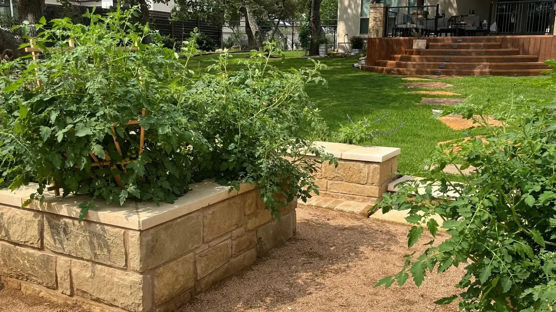 Raised garden beds with plants, mulch path, concrete border, and a house in the background.