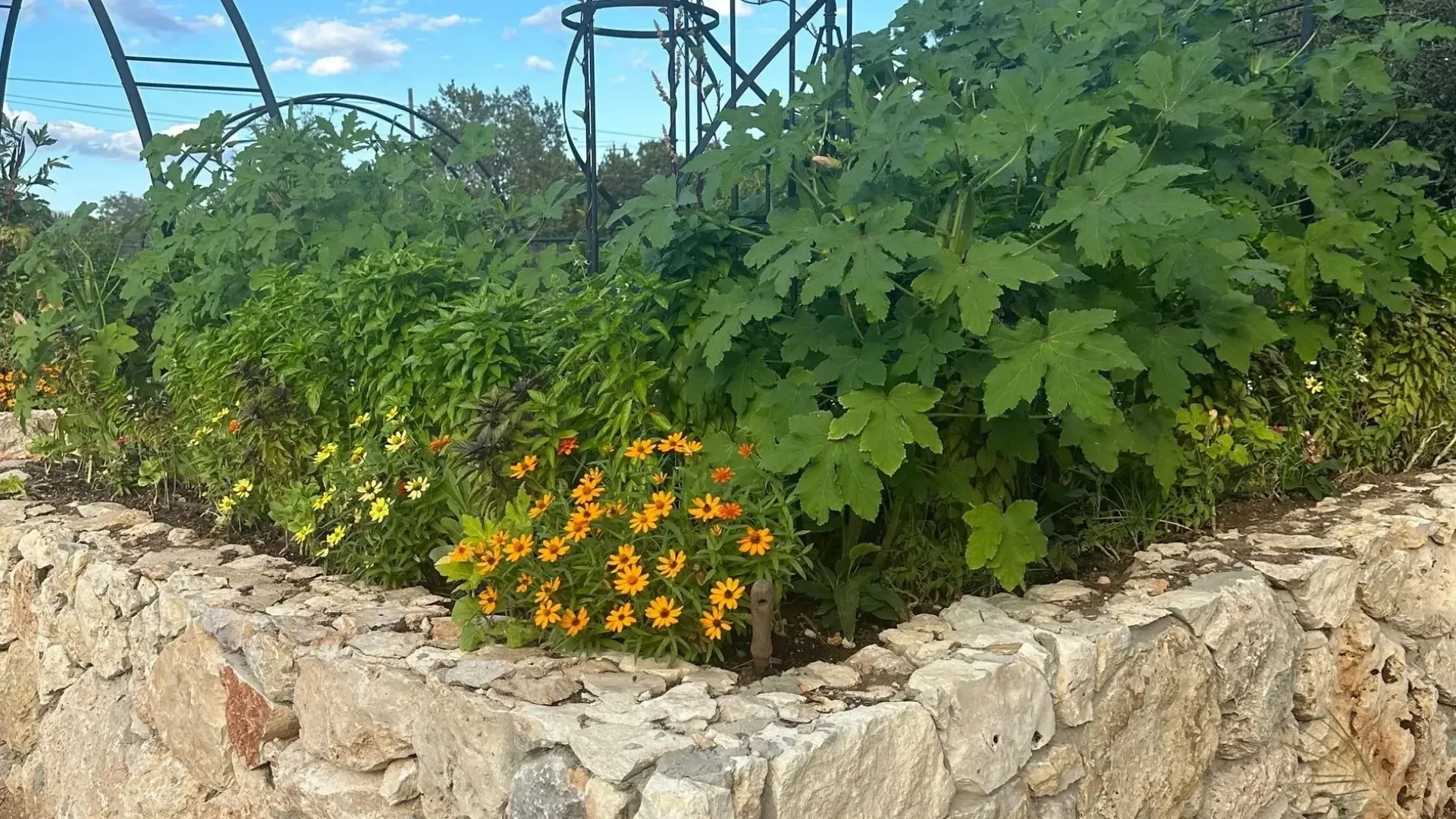 Stone-walled garden bed with flowers and foliage under a blue sky, decorative metal structures.