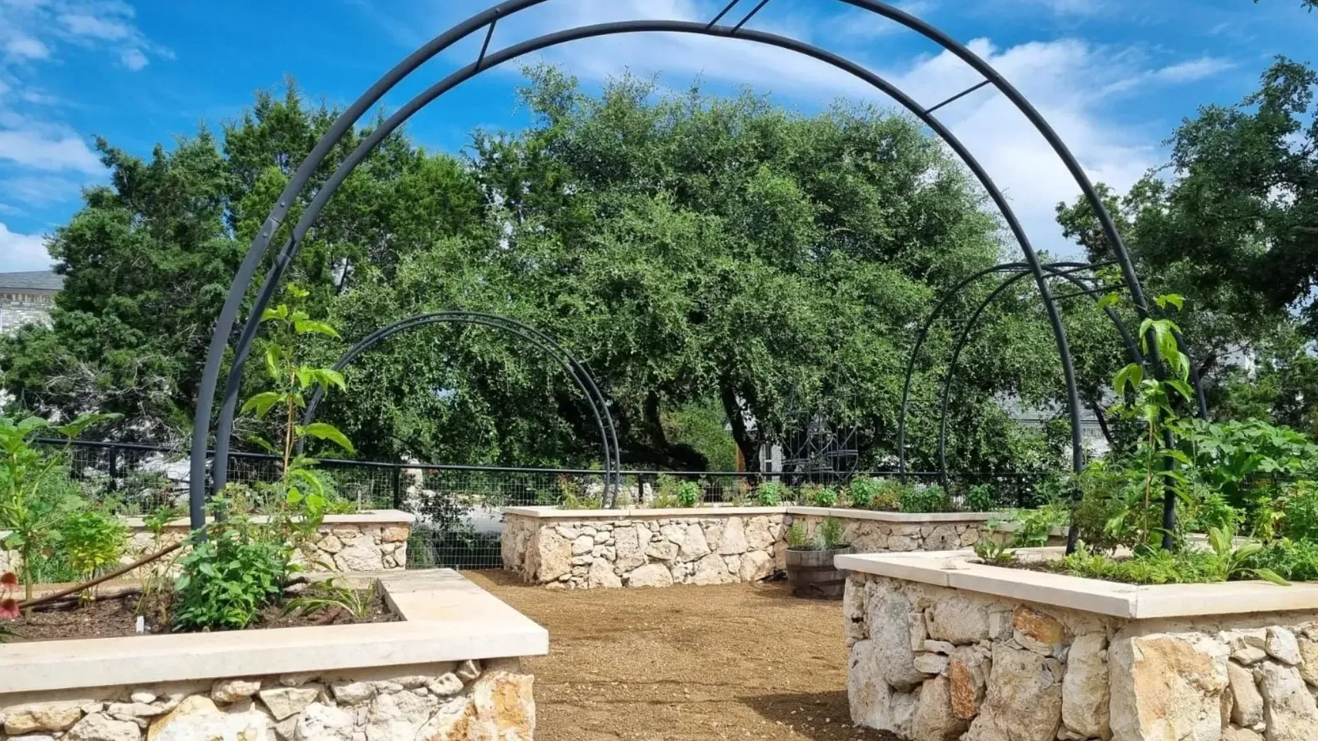 Arched metal arbor over a garden with stone retaining walls and planted beds. Trees are in the background.