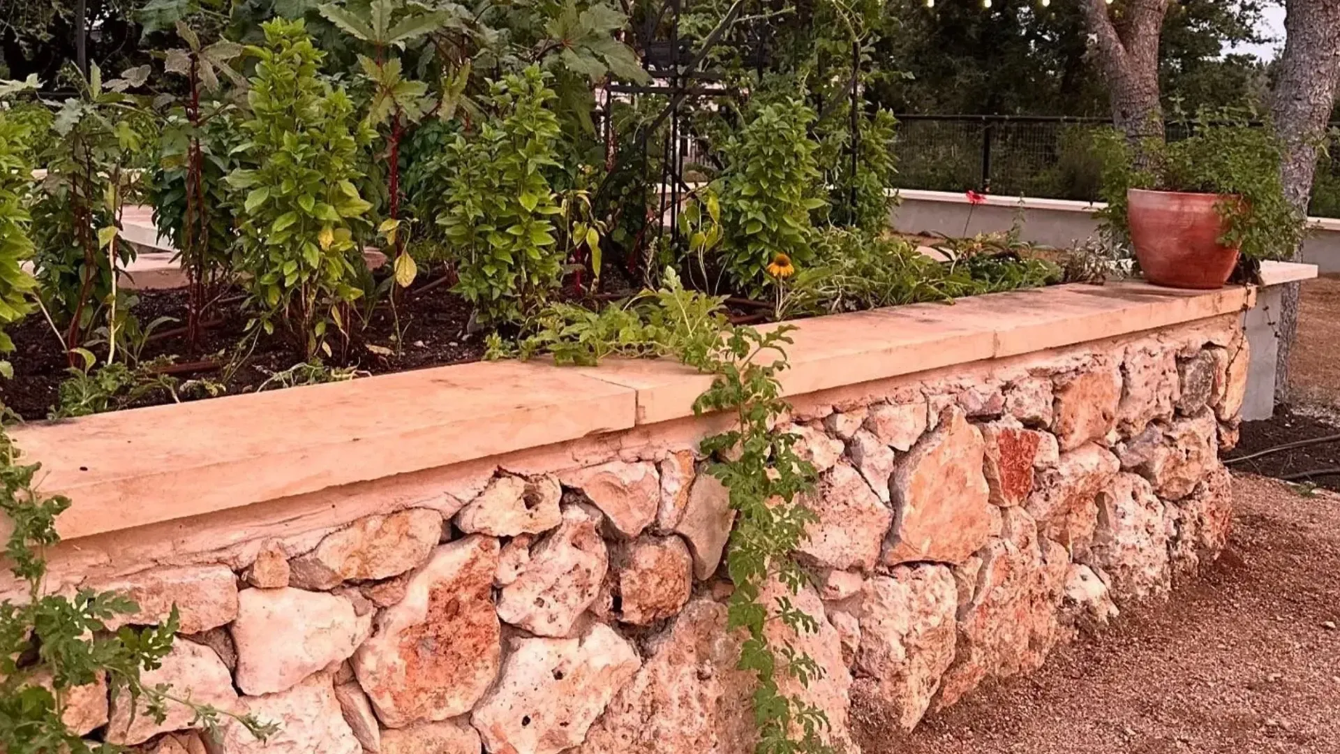 Stone-walled garden bed with growing vegetables, under trees, lit by string lights; evening.