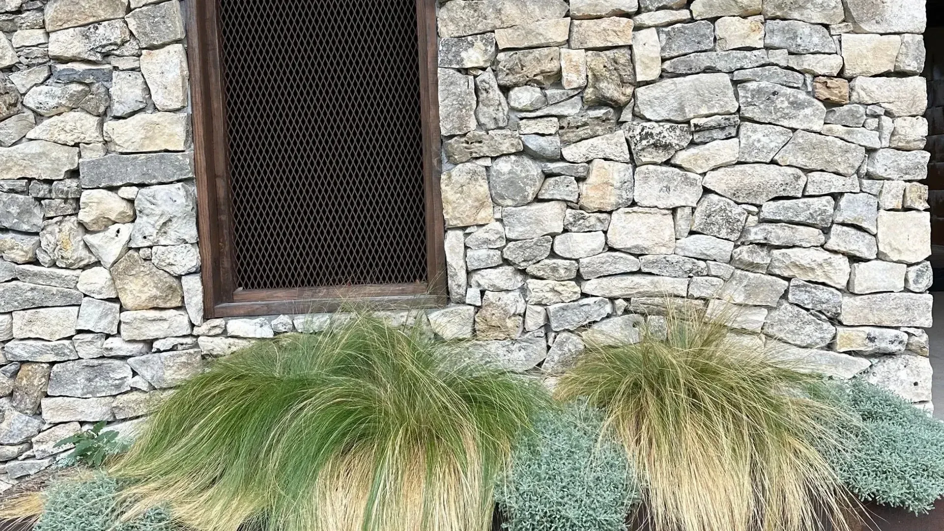 Stone wall with a barred window and plants in front.
