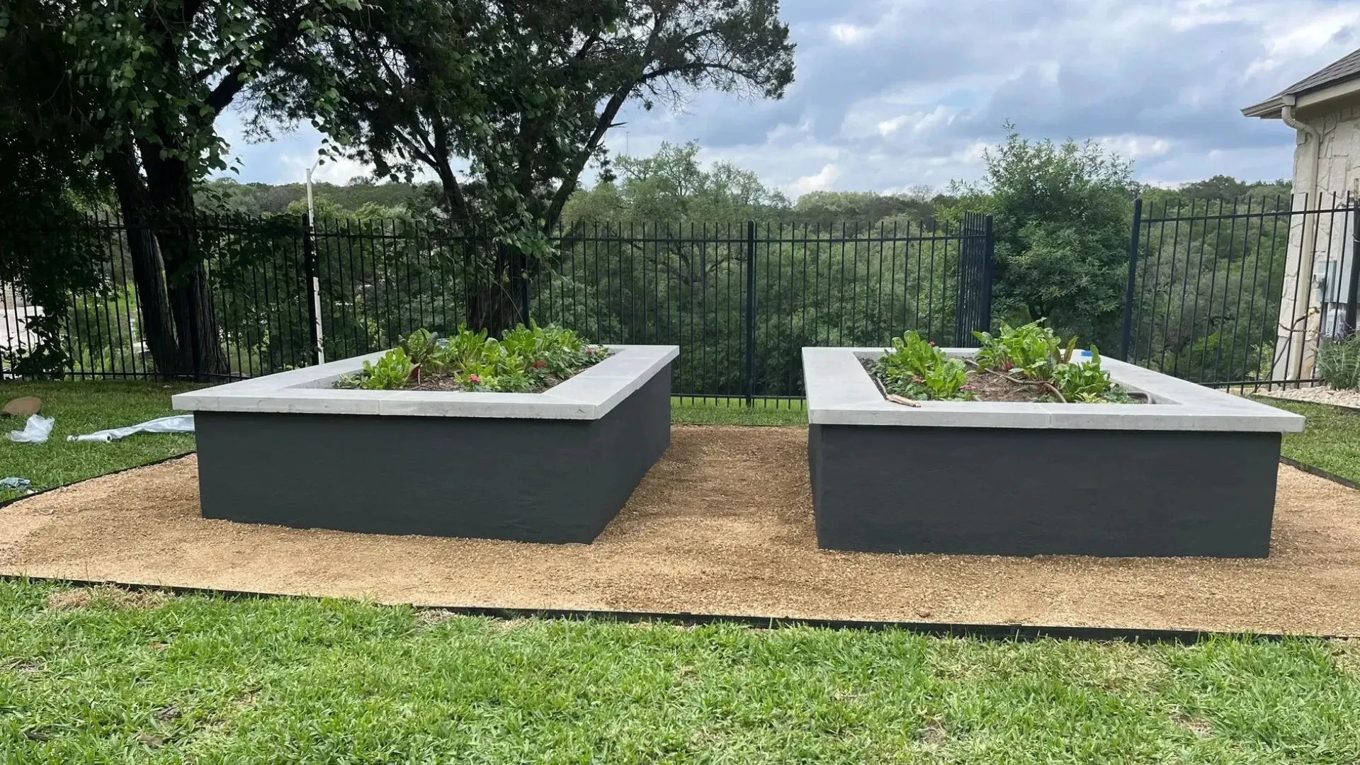 Two rectangular gray raised garden beds with plants sit on a gravel bed, surrounded by grass.