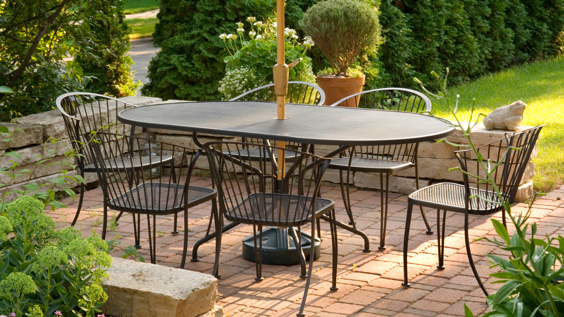 Potted lavender and olive trees in terracotta pots against a sunlit stucco wall.
