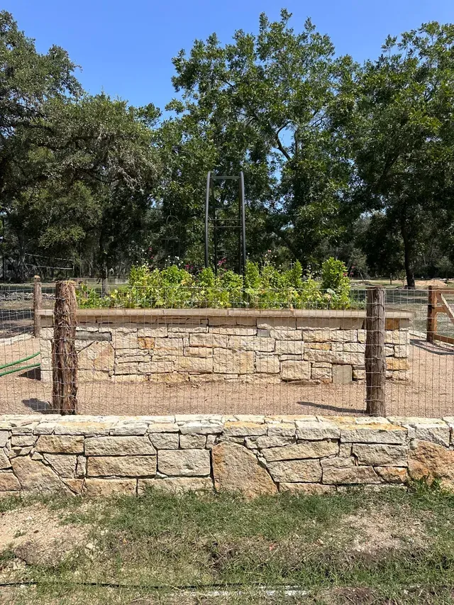Stone-walled raised garden bed with plants; wooden posts, wire cage, and metal support frame against a backdrop of trees.