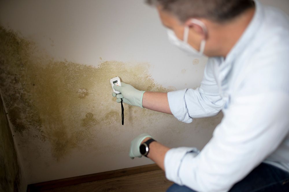 A man wearing a mask and gloves is looking at mold on a wall.
