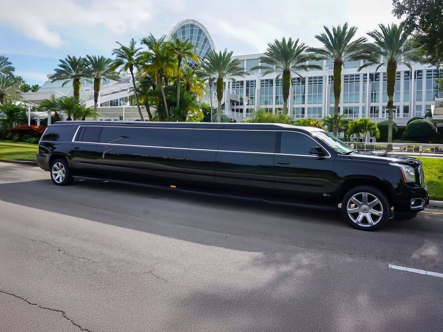 Black limousine parked on a street; modern building with glass windows and palm trees in background.