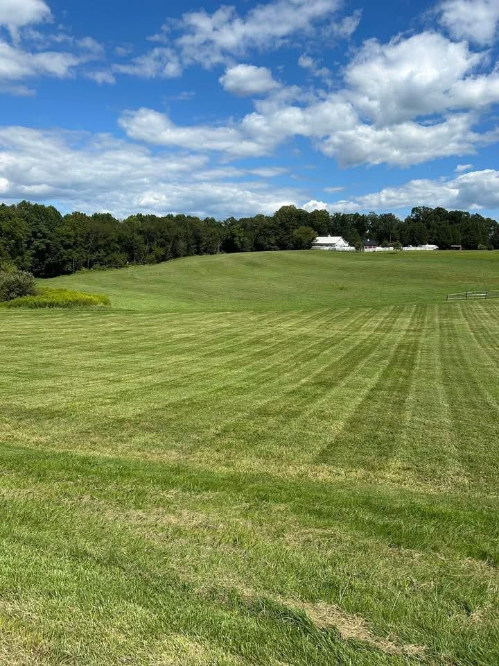 Grassy field with mowing lines under a blue sky with scattered clouds and a tree line in the distance