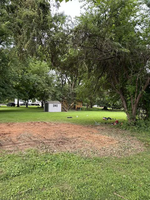 Grassy park with large trees, a small white shed, and a cleared dirt patch under overcast skies