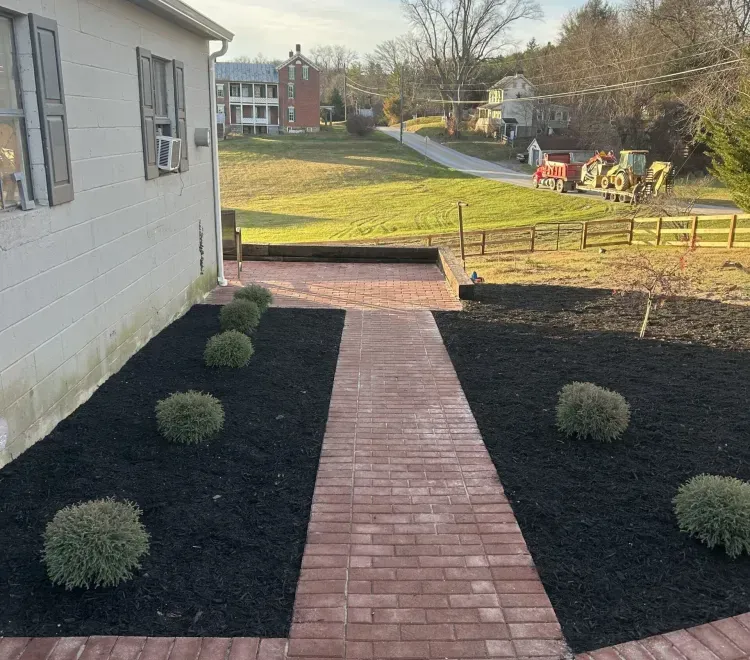 Brick walkway leading to a white house with two windows, front lawn, and bright sunlight
