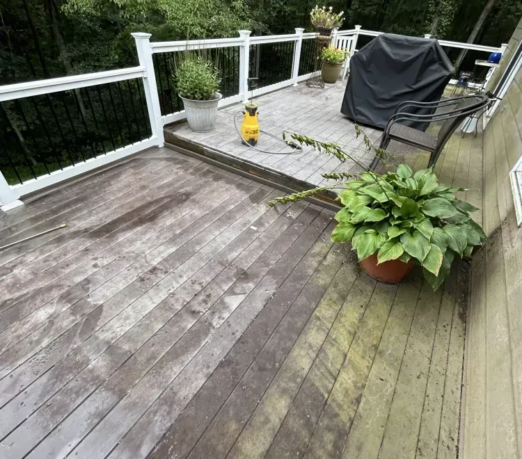 Rainy wooden deck with white railing, potted plants, and a covered grill overlooking trees