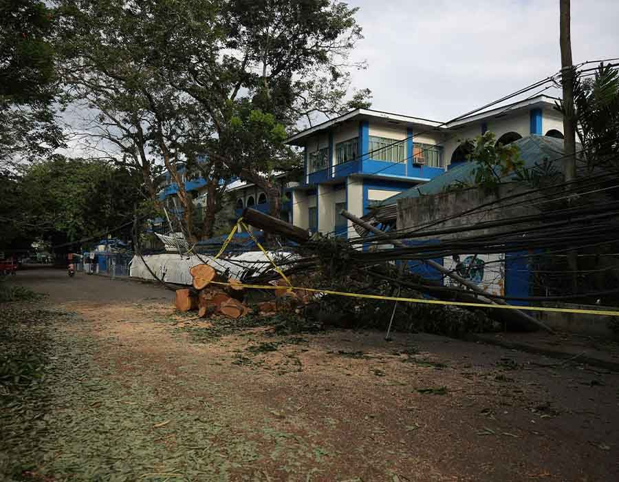 Fallen tree blocks a dirt road beside blue buildings, with debris and yellow caution tape.