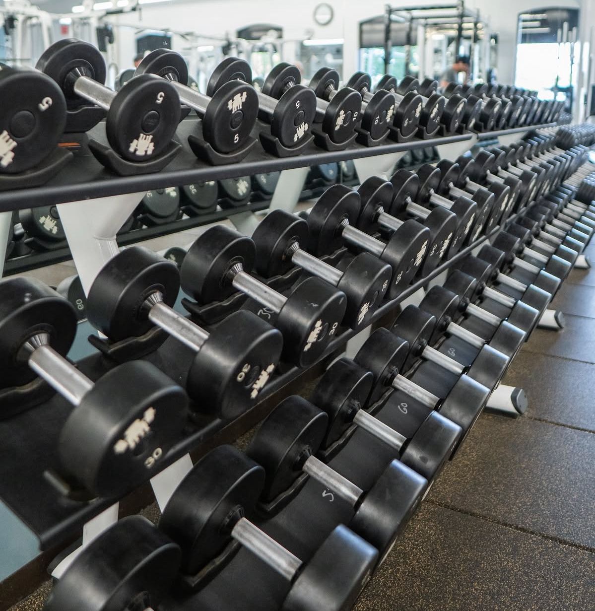 dumbbells at Southampton Gym