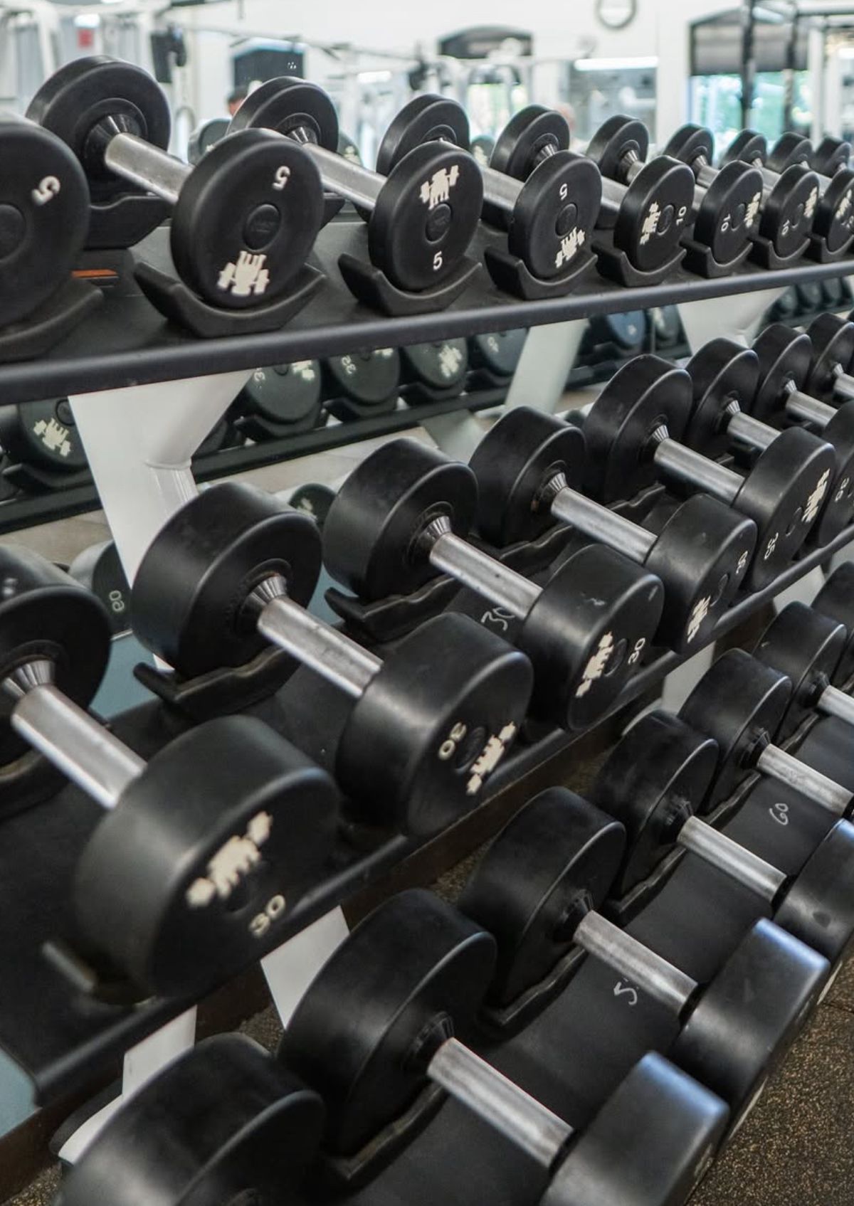 Free Weights at Southampton Gym