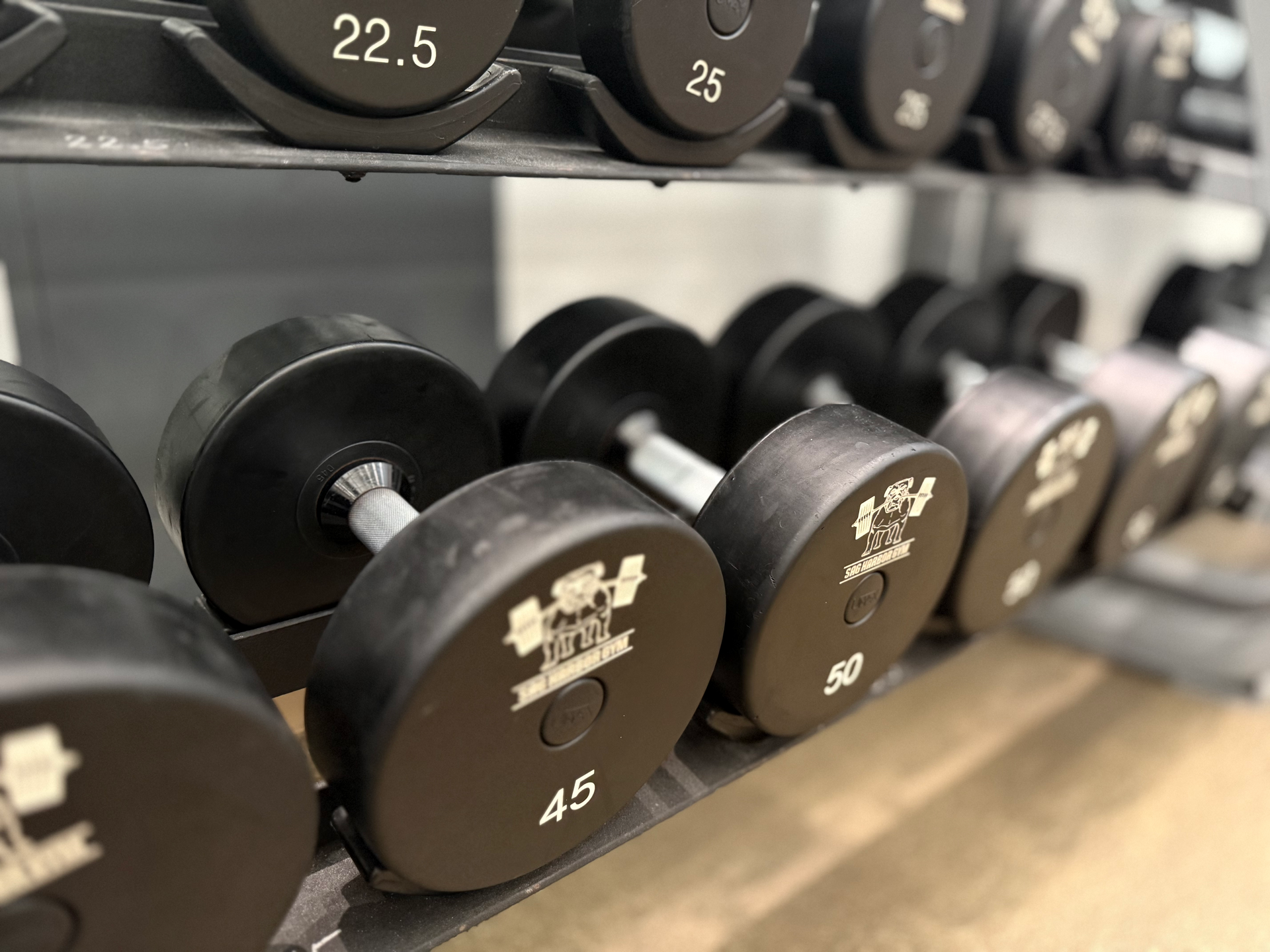 Free Weights and strength training as Sag Harbor Gym