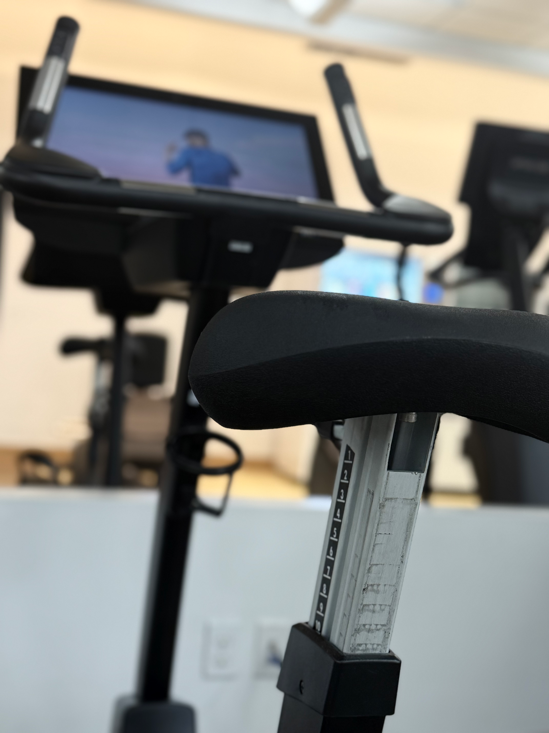 Freemition Cardio equipment at Sag Harbor Gym