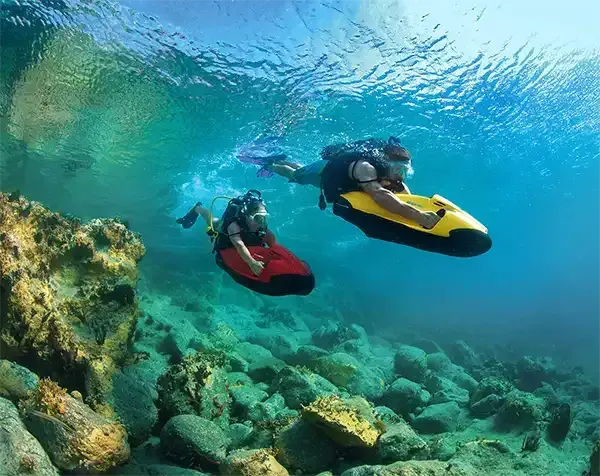 Deux seabob sous la mer avec des poissons