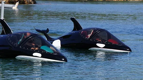 seabreacher orques qui flottent