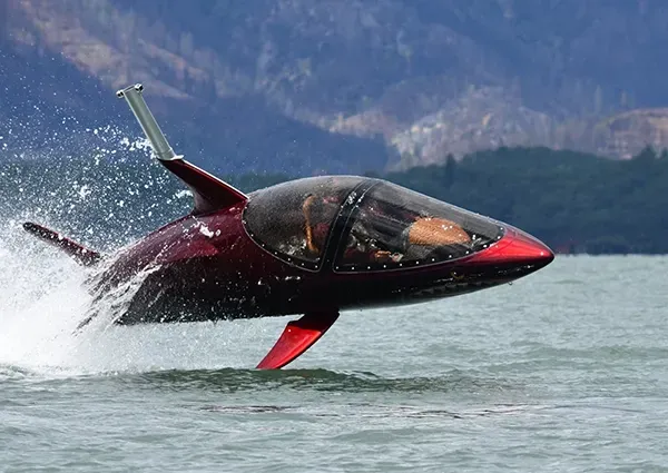 seabreacher rouge dauphin custom motors