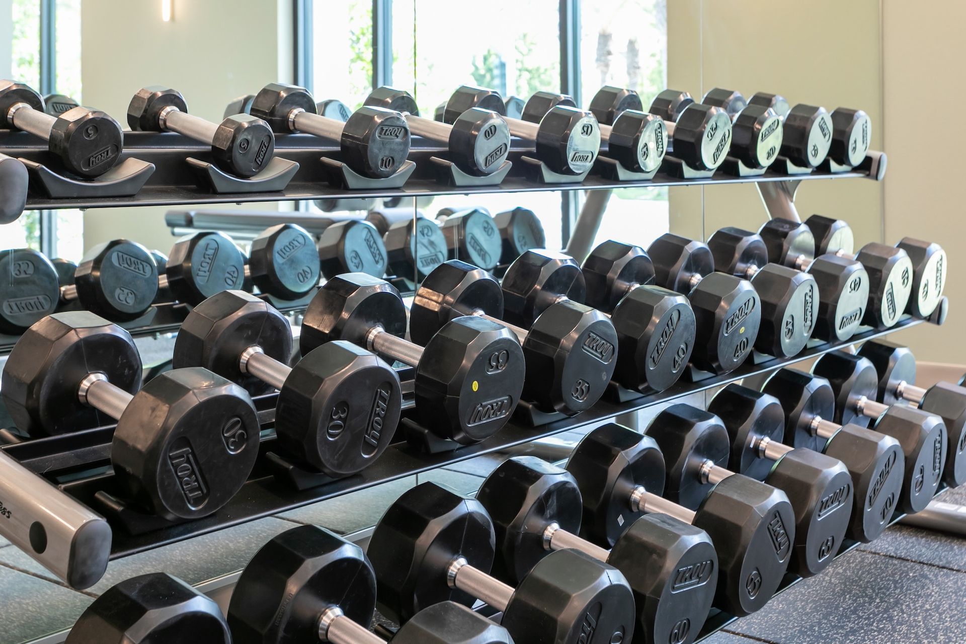 Rows of dumbbells on a rack in a gym, ready for use.