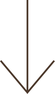 A green arrow pointing down on a white background.