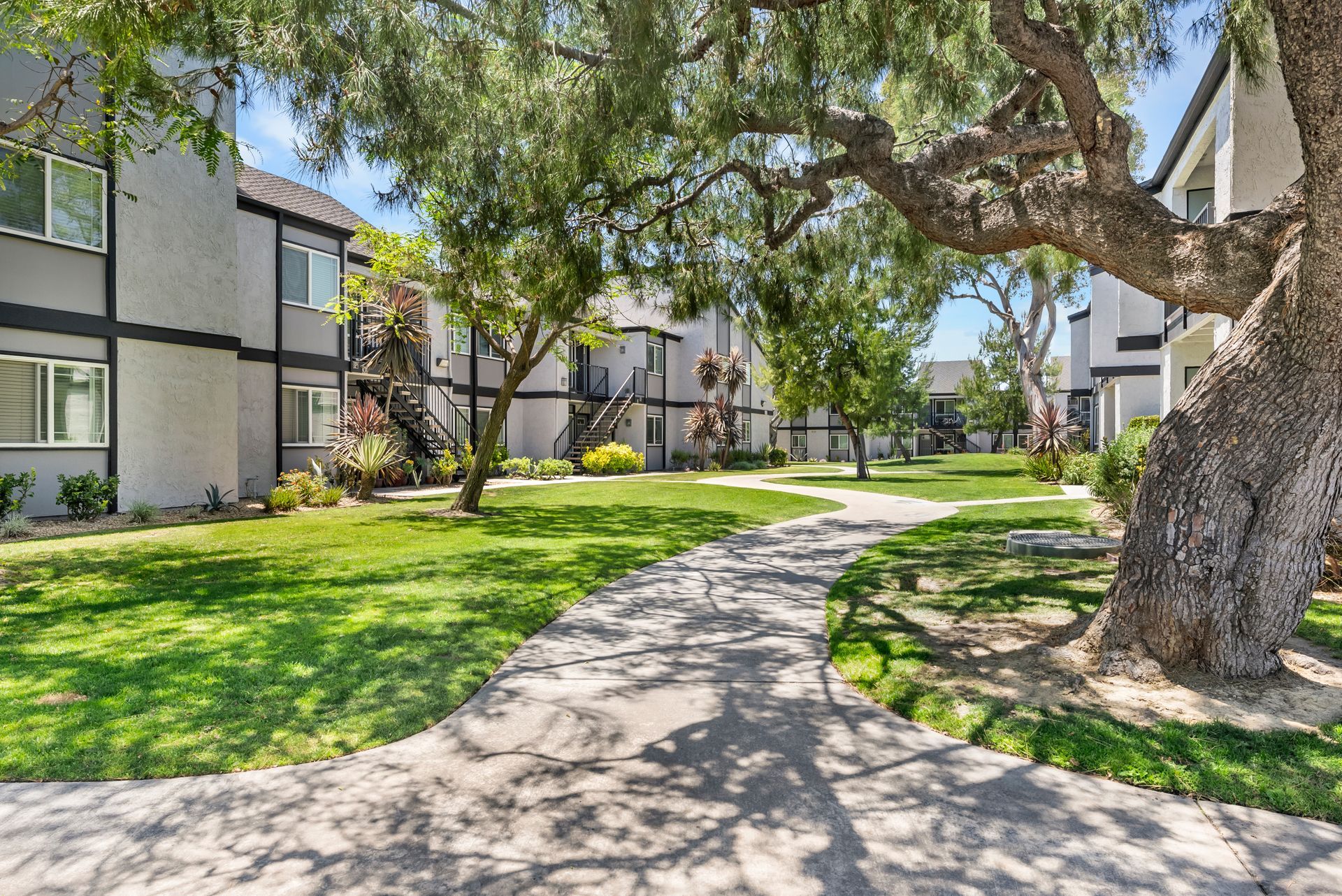 shaded walkway with trees
