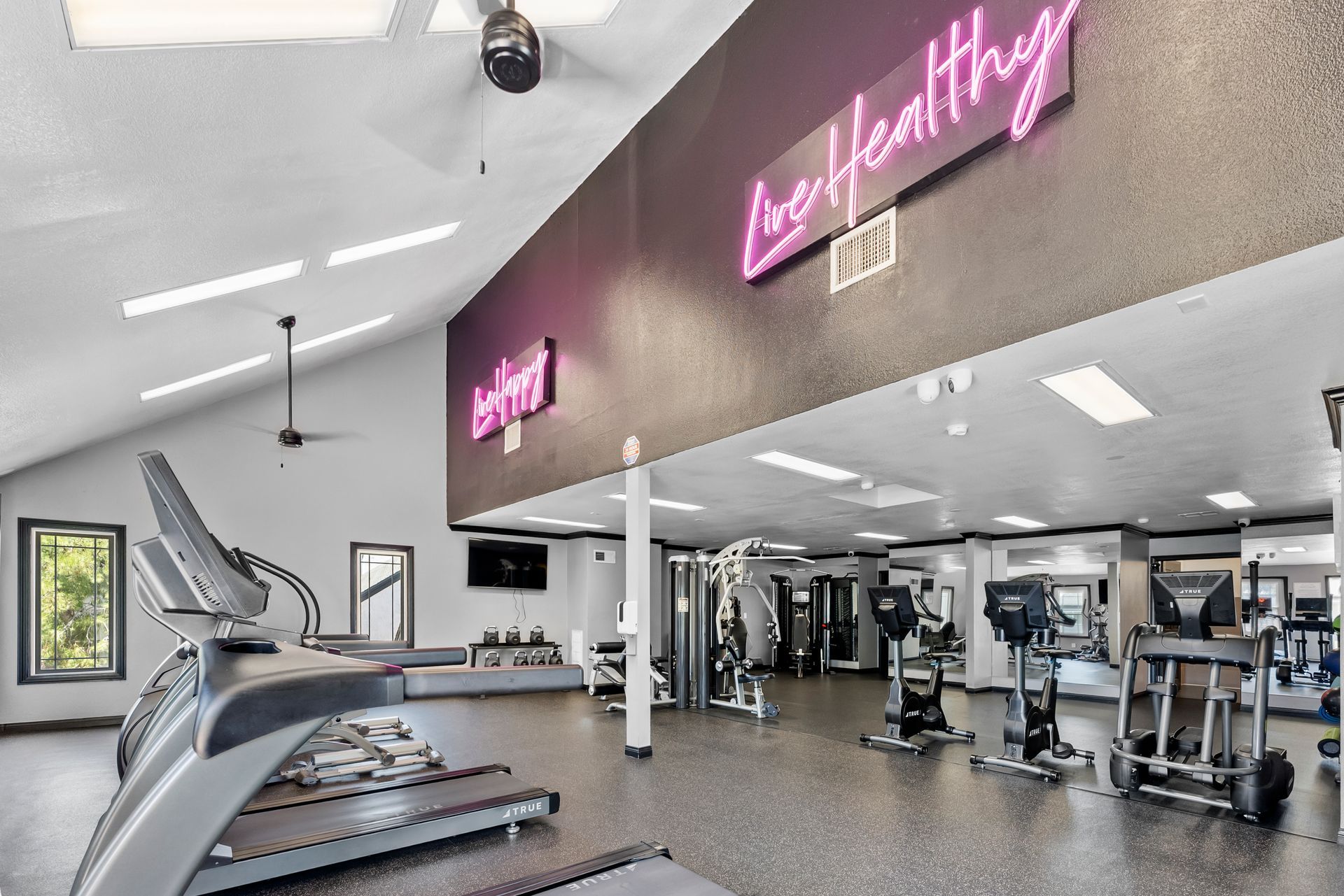 gym with cardio and weight equipment