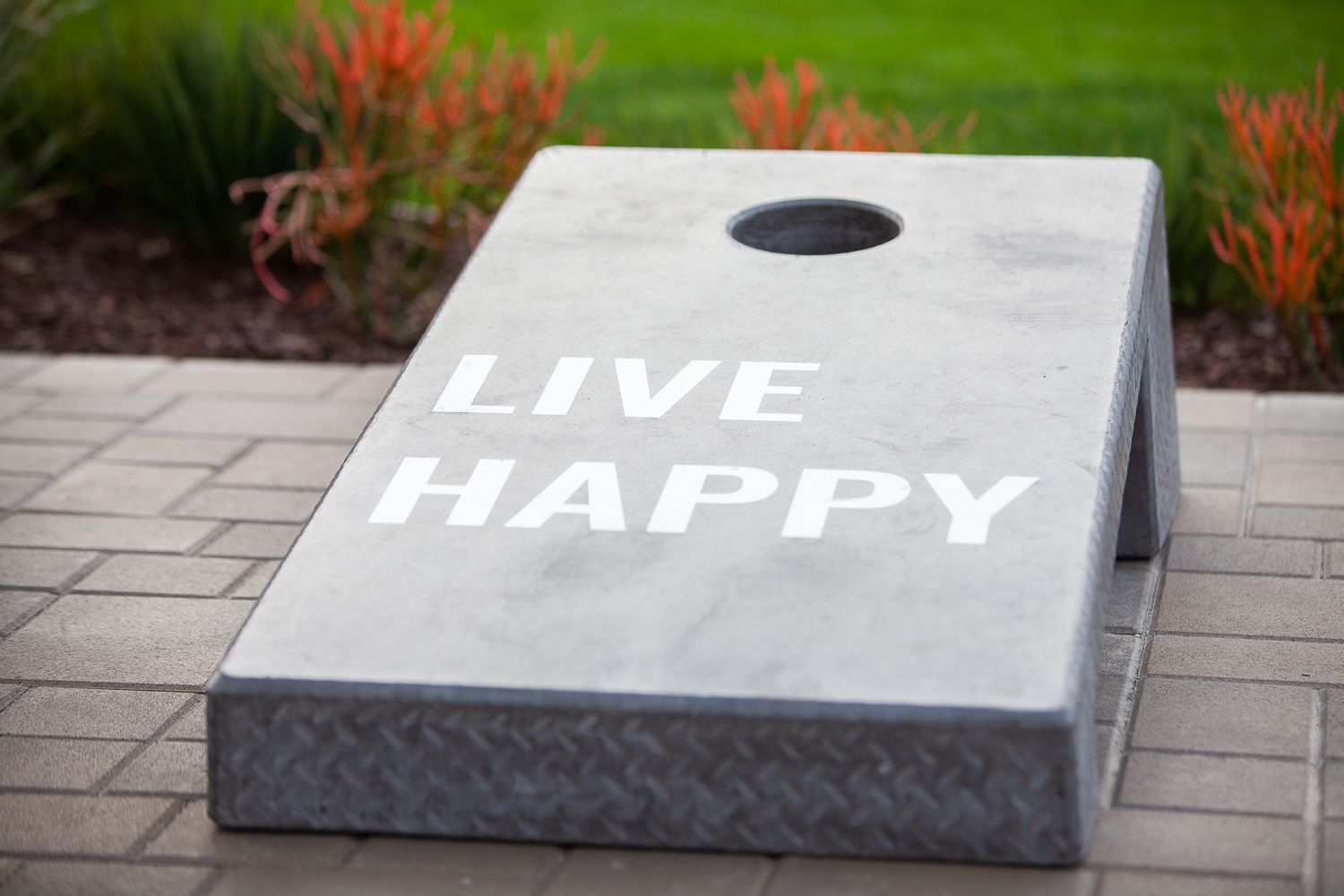 Highland Pinetree cornhole