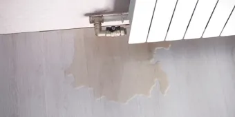 Leak detection