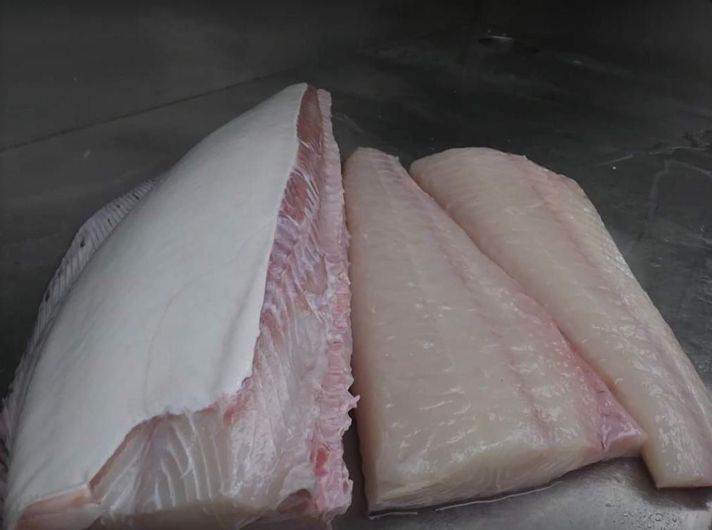 Fresh Seafood Menu 63