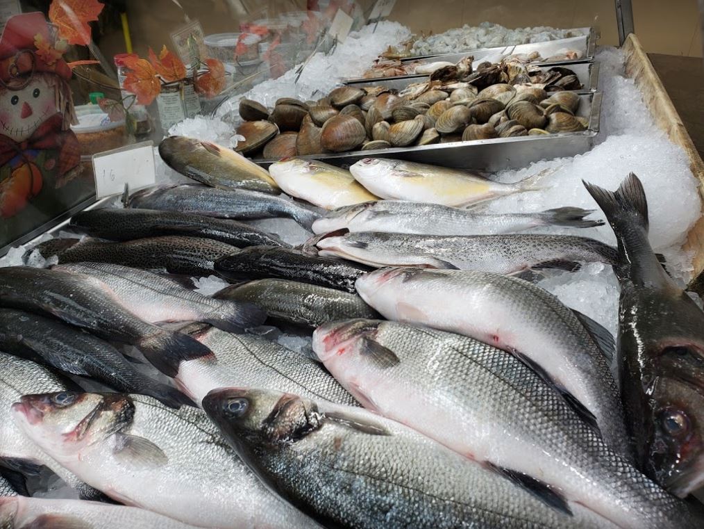 Fresh Seafood Menu 46