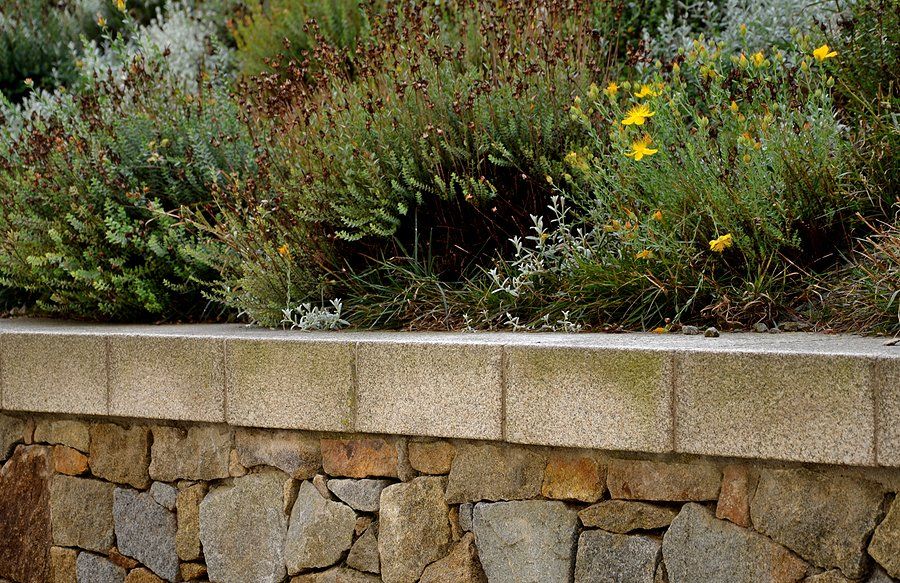 different plants in the retaining walls