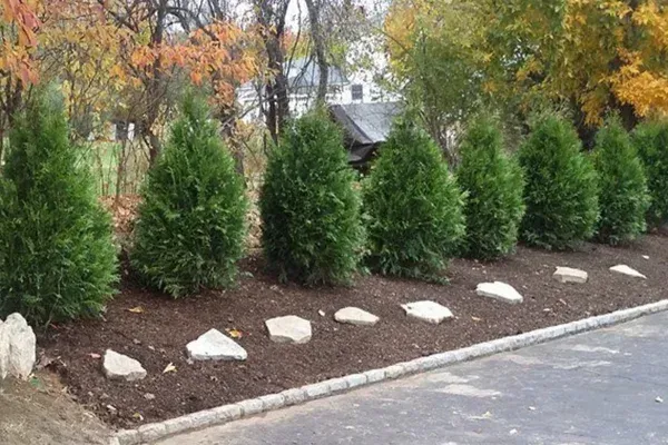 decorative boulder installation in long valley nj