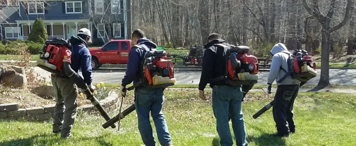 Top fall landscaping services in Chester, NJ