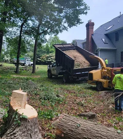 land clearing in long valley nj