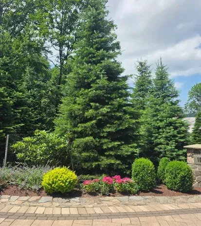 landscape designs in long valley nj