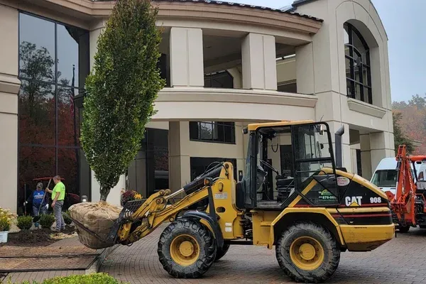 landscape installation service in long valley nj