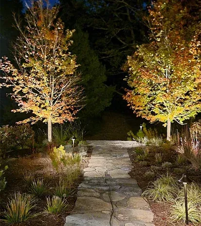 landscape lighting in long valley nj