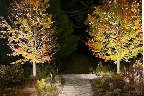 landscape lighting service in long valley nj