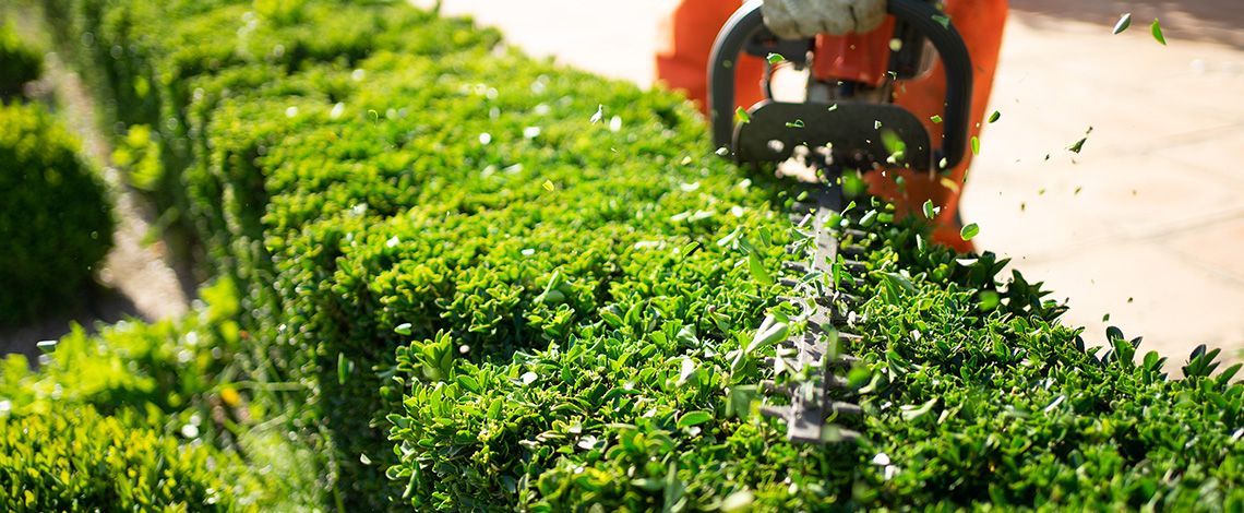  landscape maintenance cost in nj