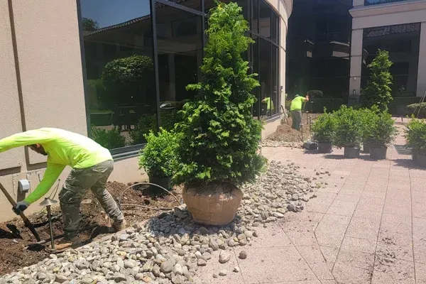 landscape maintenance for business in long valley nj