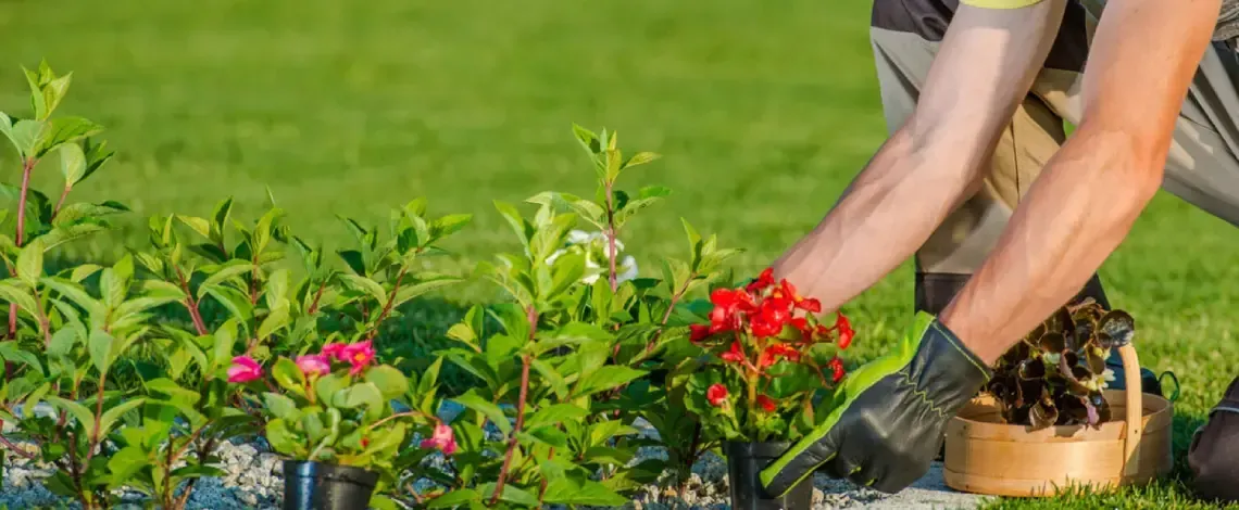 Expert tips for hiring a landscaper in Long Valley, NJ