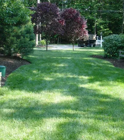 lawn aeration and overseeding in long valley nj