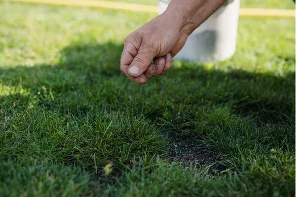  lawn aeration service in long valley nj